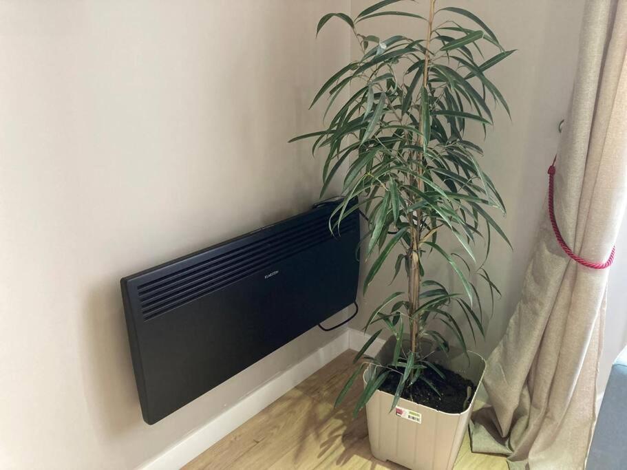 T 2 Calme&Douceur Appartement Tarbes Buitenkant foto
